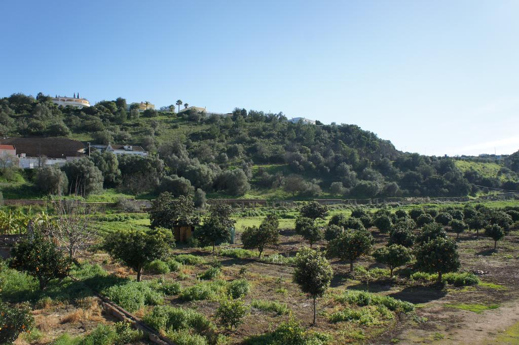 Horta Grande Hotel Silves Eksteriør billede